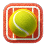 The Impossible Tennis Ball Game icon