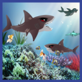 Angry Hungry Reef Shark Apk