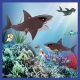 Angry Hungry Reef Shark APK