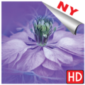 Bakgrunnsbilder blomster hd 2018 til telefon Apk