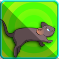 Rat Jungle Run Apk