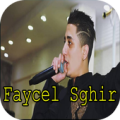 الشاب فيصل الصغير بدون نت 2018 - Faycel Sghir Apk