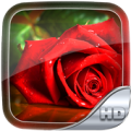 Rose Wallpaper HD Apk