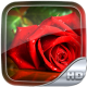 Rose Wallpaper HD APK