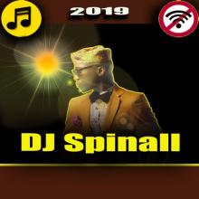 DJ Spinal songs 2019 APK Download for Android