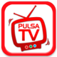 PulsaTV APK