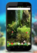 Aquarium Live Wallpaper APK Download for Android