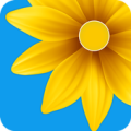 Gallery Apk