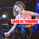 Lagu DJ Offline 2019 Terbaru APK