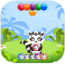 Raccoon: Bubble Shooter Game icon