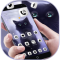 Fluffy kitty Theme Wallpaper Kitty Lock Screen Apk