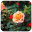 Roses Download on Windows