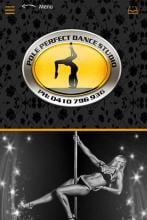 Pole Perfect Dance APK Download for Android