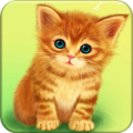 Cute Baby Cat Apk