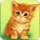 Cute Baby Cat APK