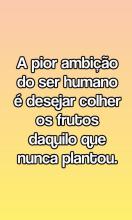 Frases De Amor E Aniversario APK Download for Android