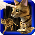 LOVE CAT!!  -Bengal cat (Unreleased) Apk