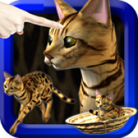 LOVE CAT!!  -Bengal cat (Unreleased) APK icon