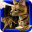 LOVE CAT!!  -Bengal cat (Unreleased) Download on Windows