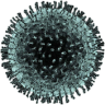 Coronavirus LIVE Tracker Application icon