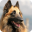 Belgian Shepherd Pack 2 Lwp Download on Windows