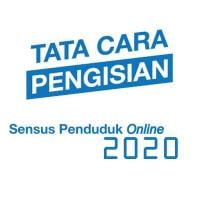 Cara isi sensus Penduduk 2020 APK Ảnh chụp màn hình #2