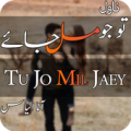 Tu Jo Mil Jaey by ana ilyas Offline Apk