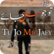 Tu Jo Mil Jaey by ana ilyas Offline APK