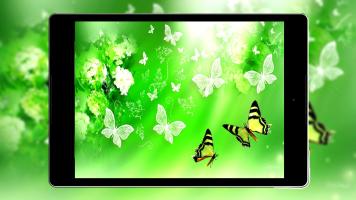 Butterfly Wallpapers HD APK צילום מסך #17