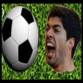 Dont Get Bit By Suarez Apk