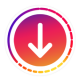 Instagram Downloader Pro APK