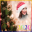 Christmas Photo Frames HD 2020 Download on Windows