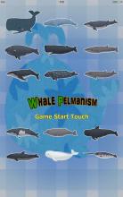 Whale Pelmanism APK Download for Android