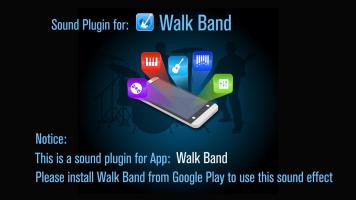 Walk Band Fingered Bass sound APK capture d'écran Thumbnail #4