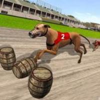 Изображения Classical Dog Hurdle Race 2017 на ПК с Windows