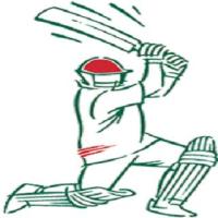 Dasia Sports Cricket APK Screenshot #1