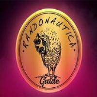 Randonautica Beginers Guide APK Covergestaltung