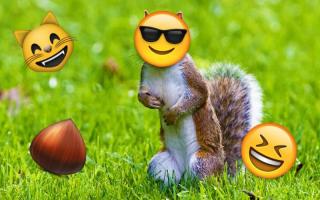 Emoji Photo Sticker Maker Free APK Ekran Görüntüsü Küçük Resim #2