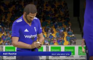 Cricket 2019 APK صورة لقطة الشاشة #7