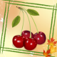 Fruits Memory Games APK