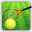 Play Real Tennis 3D Game 2015 Download on Windows