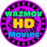 WAZMOV HD Movies Application icon