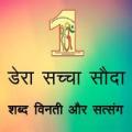 Dera Sacha Sauda Shbad Satsang Apk