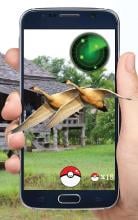 Pocket Birds GO! APK Download for Android