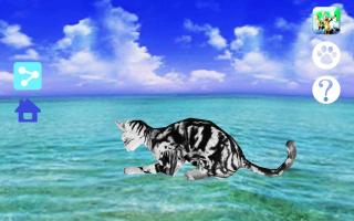 Captura de pantalla de LOVE CAT!! American Shorthair (Unreleased) APK #6