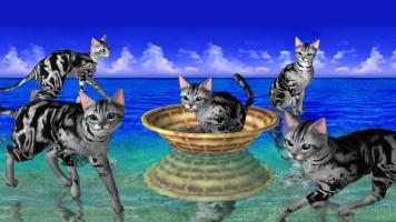 Captura de pantalla de LOVE CAT!! American Shorthair (Unreleased) APK #4