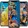 Coral Reef Wallpaper Application icon