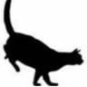 Gualberto-Gato Application icon