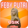 Feby Putri Usik Offline Terbaru Application icon