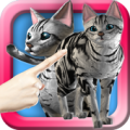 LOVE CAT!! American Shorthair (Unreleased) Apk